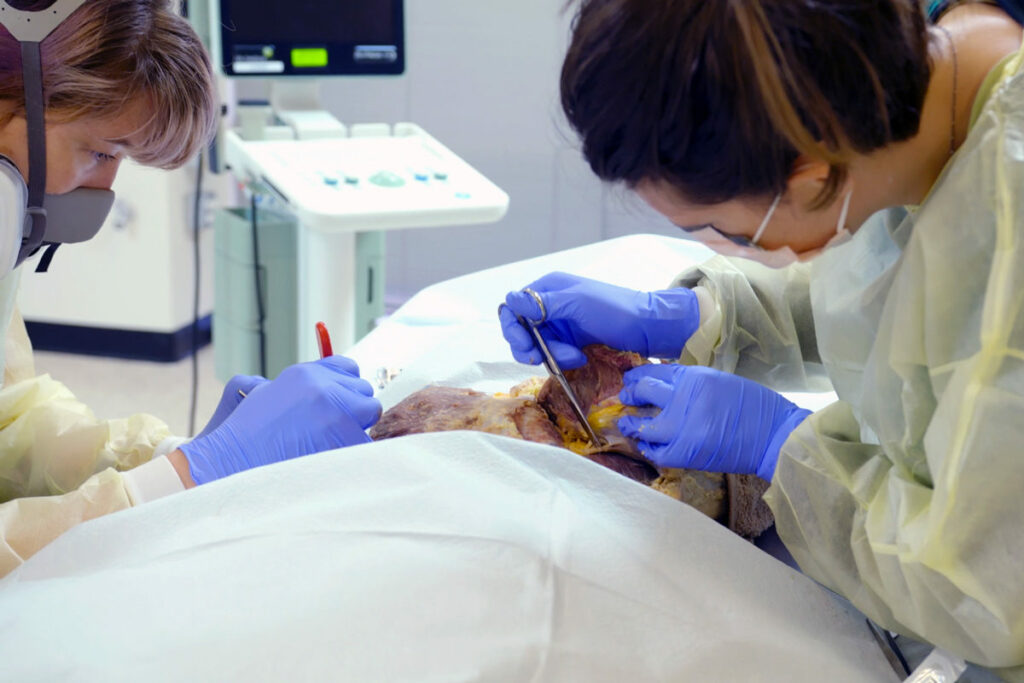 Bioskills lab